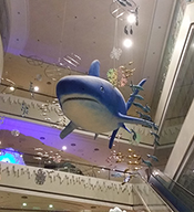 【中庭.悬挂】看到商场商业城中庭悬挂的鲨鱼挂件雷到你了吗？海洋世界抬头可看？
