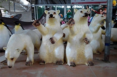 【动物雕塑】仿真北极熊雕塑，是否位于食物链的最顶端？