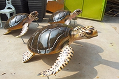 【海洋动物雕塑】仿真海龟雕塑小品吉祥与长寿同在，你会喜欢吗？