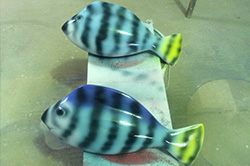 【海洋动物雕塑】海洋景观世界特色鱼！